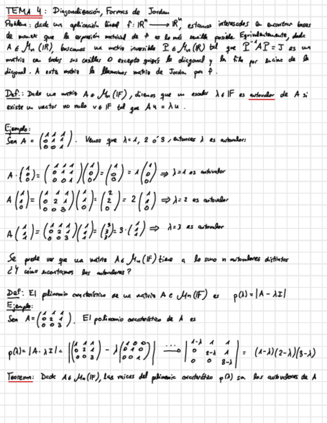 Miniatura del documento TEMA-4.pdf