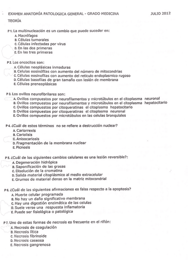 Miniatura del documento Julio-2012-APG.pdf