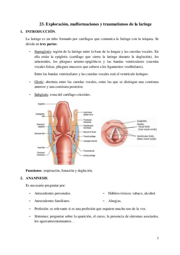 Miniatura del documento 23.-Exploracion-malformaciones-y-traumatismos-de-la-laringe.pdf
