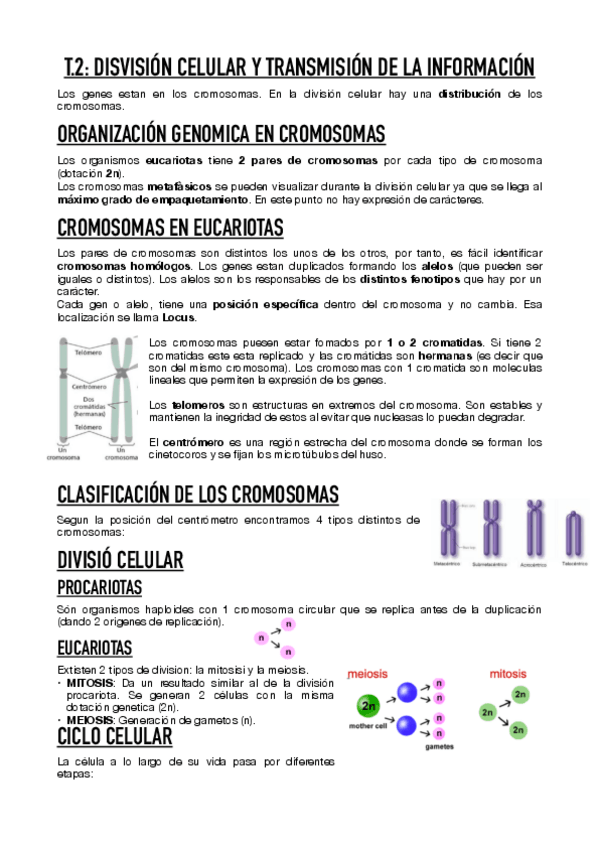 Miniatura del documento TEMA-2.pdf