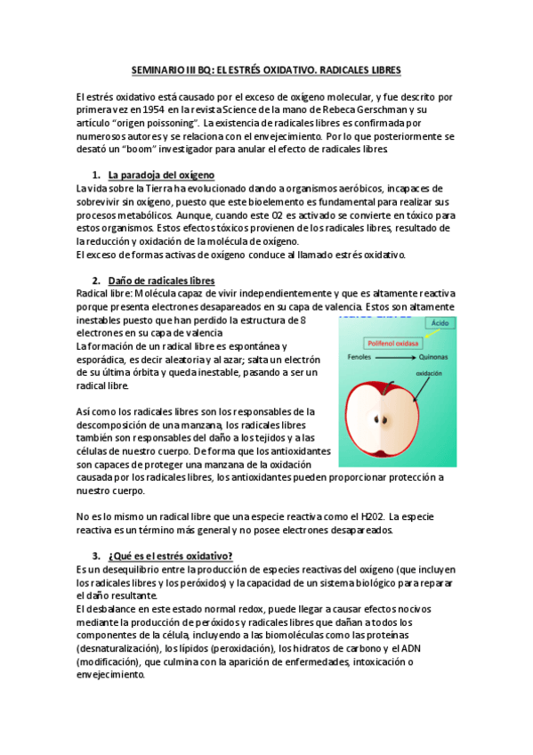 Miniatura del documento SEMINARIO-III-BQ.pdf