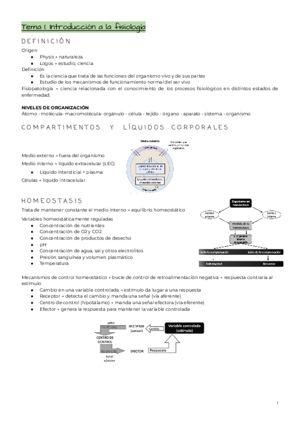 Miniatura del documento 1-cuatri-Fisiologia.pdf