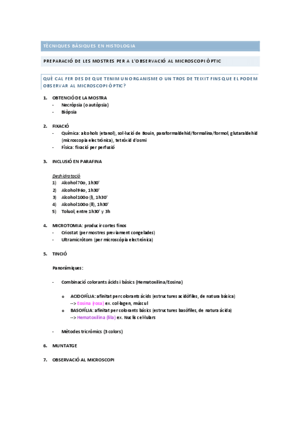 Miniatura del documento SOCRATIVE.pdf
