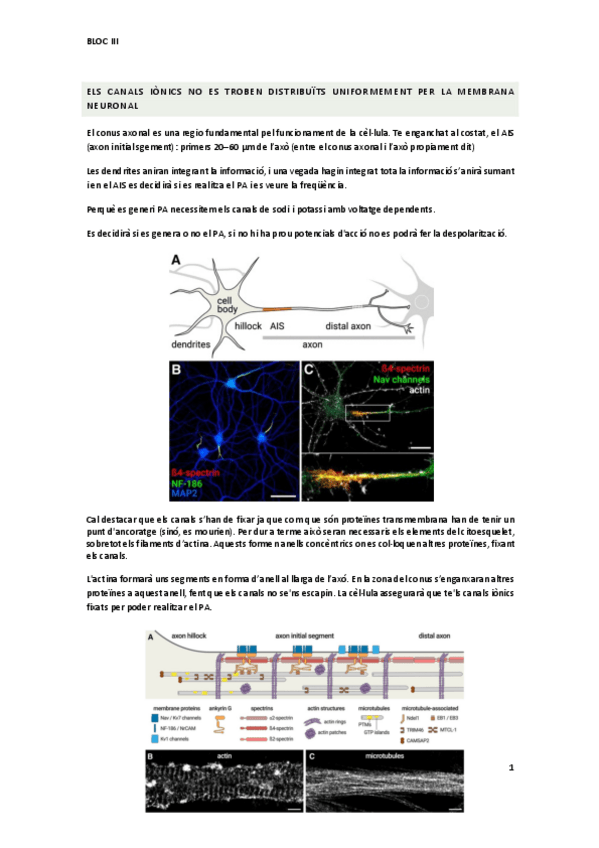 Miniatura del documento bloc-III.pdf