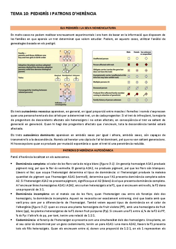 Miniatura del documento Genetica-2n-parcial.pdf
