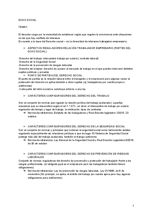 Miniatura del documento DCHO-SOCIAL.pdf
