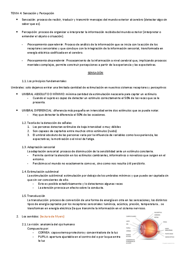 Miniatura del documento Tema-4-psicologia.pdf