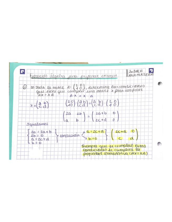 Miniatura del documento Matrices-algebra-ejercicios-resueltos.pdf