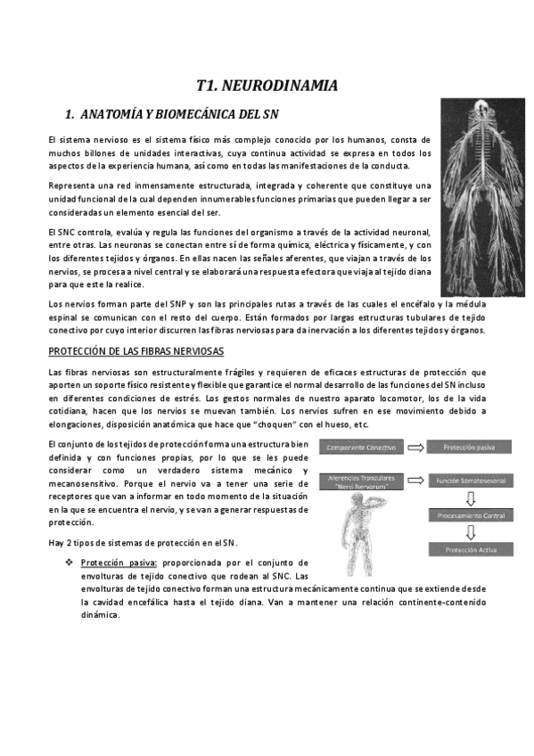 Miniatura del documento Especialidades-III.pdf