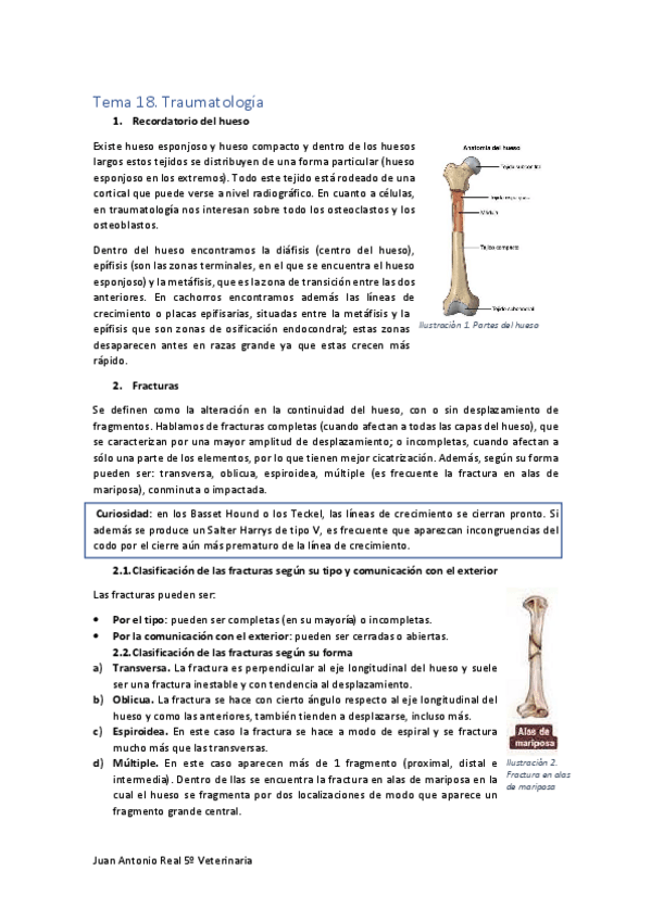 Miniatura del documento Tema-18.pdf