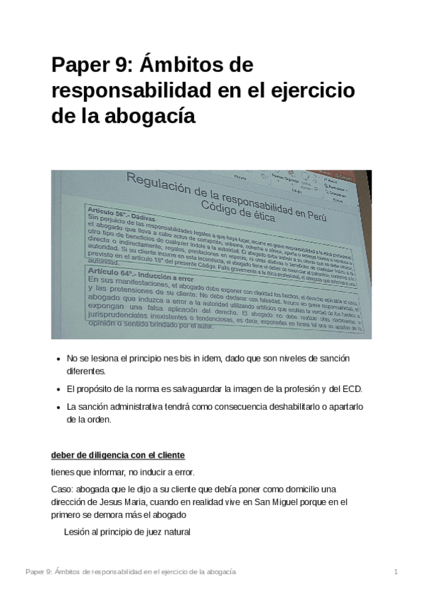 Miniatura del documento Paper9mbitosderesponsabilidadenelejerciciodelaabogaca.pdf