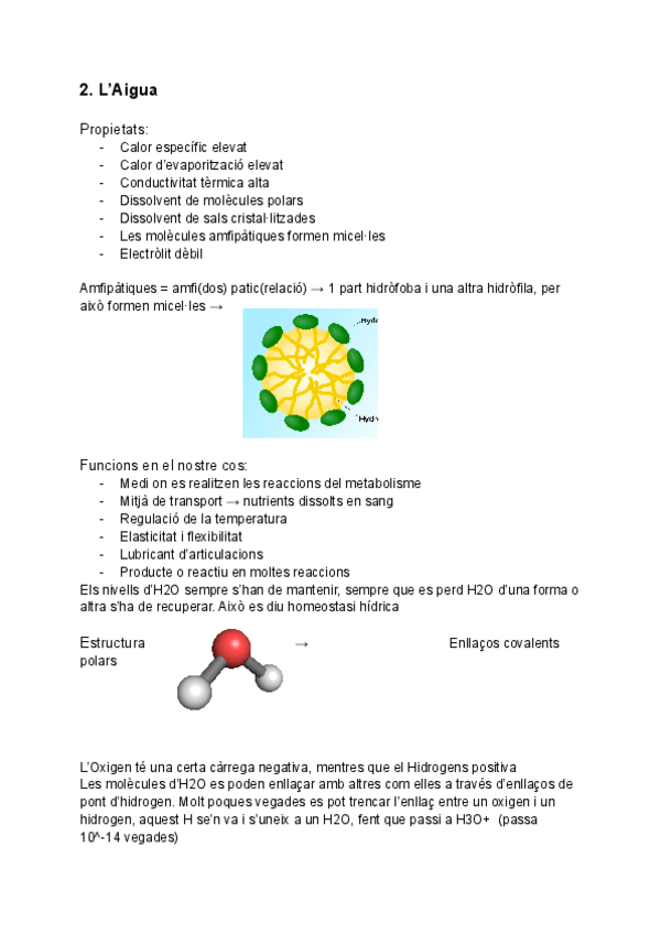 Miniatura del documento TEMA-2-LAigua.pdf
