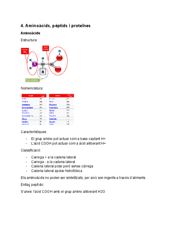 Miniatura del documento TEMA-4-Aminoacids-peptids-i-proteines-i-Enzims.pdf