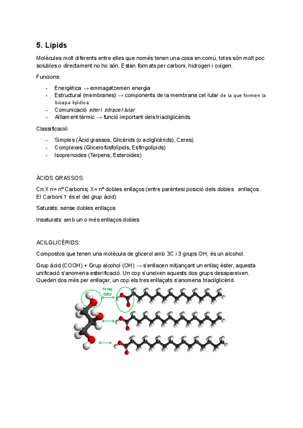 Miniatura del documento TEMA-5-Lipids.pdf