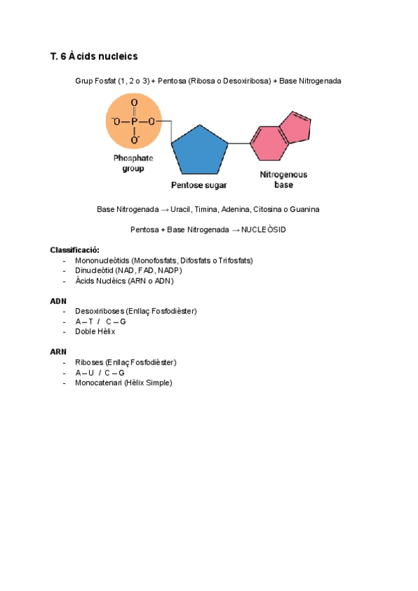 Miniatura del documento TEMA-6-Acids-Nucleics.pdf