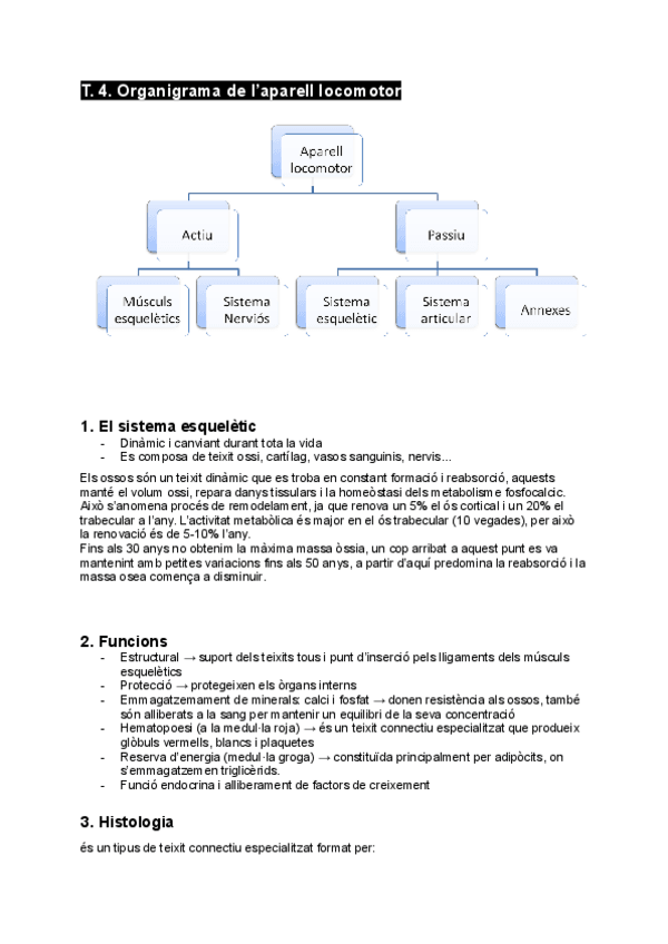 Miniatura del documento T.-4.-Organigrama-de-laparell-locomotor.pdf