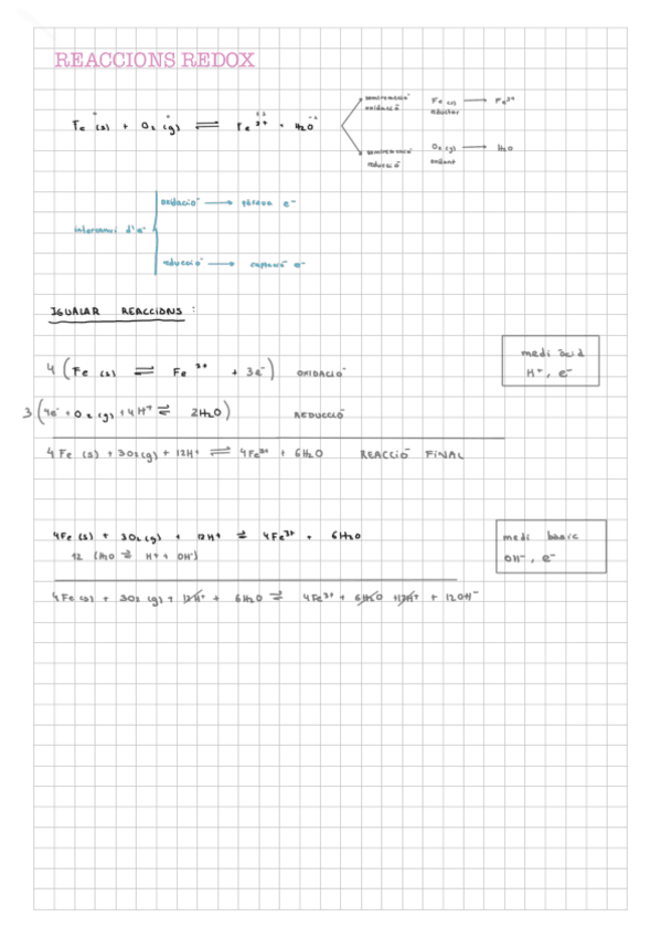 Miniatura del documento TEORIAREDOX.pdf