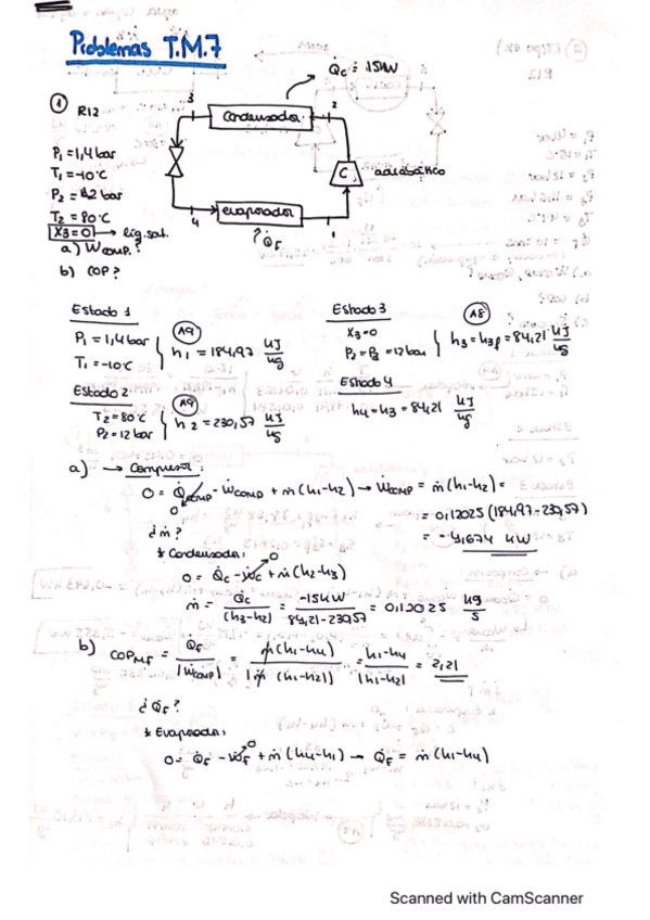Miniatura del documento Problemas-Tema-7-Termo.pdf