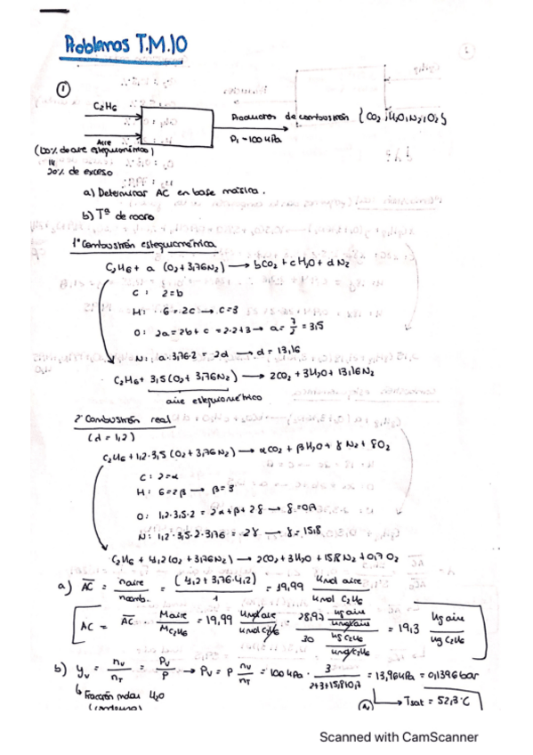 Miniatura del documento Problemas-Tema-10-Termo.pdf