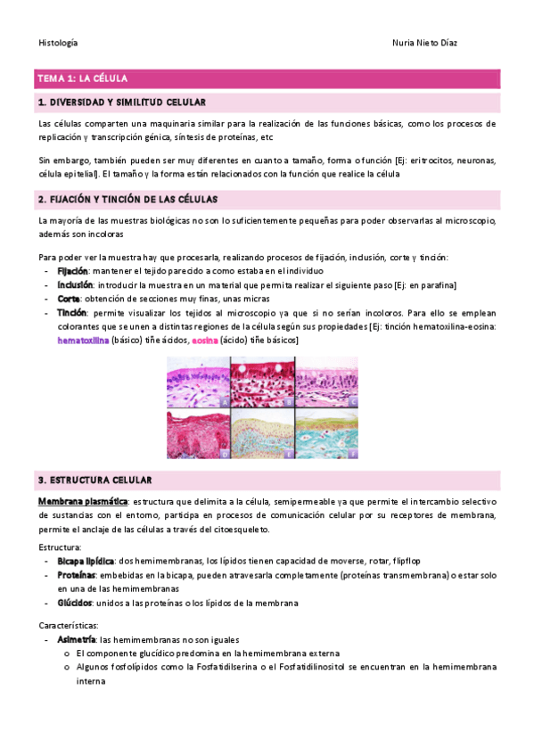 Miniatura del documento TEMA-1-La-celula.pdf