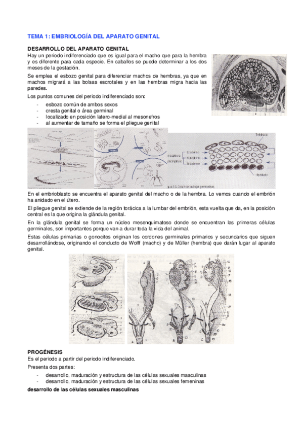 Miniatura del documento repro-GA.docx