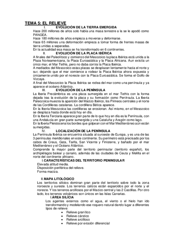 Miniatura del documento TEMA-5-RELIEVE.pdf