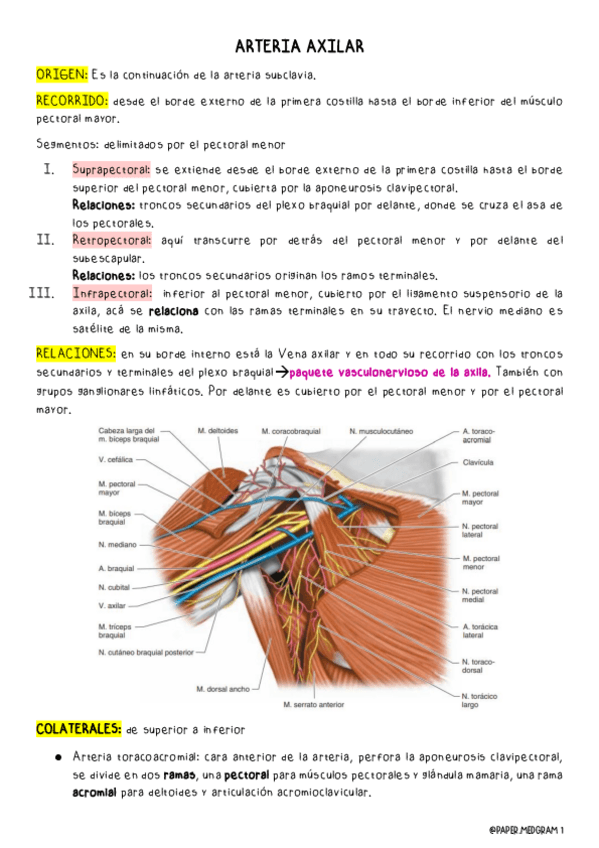 Miniatura del documento cavidad-axilar.pdf