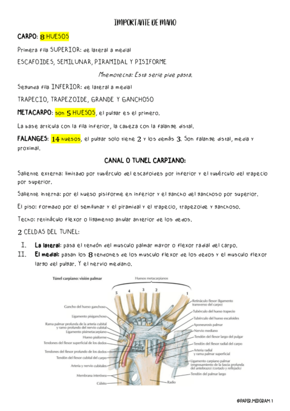 Miniatura del documento IMPORTANTE-DE-MANO.pdf