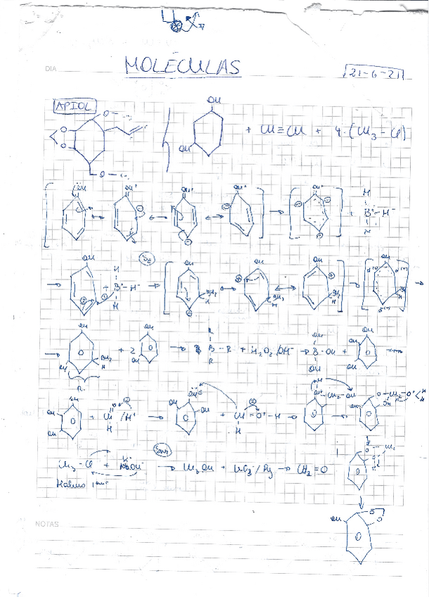 Miniatura del documento Moleculas hechas.pdf