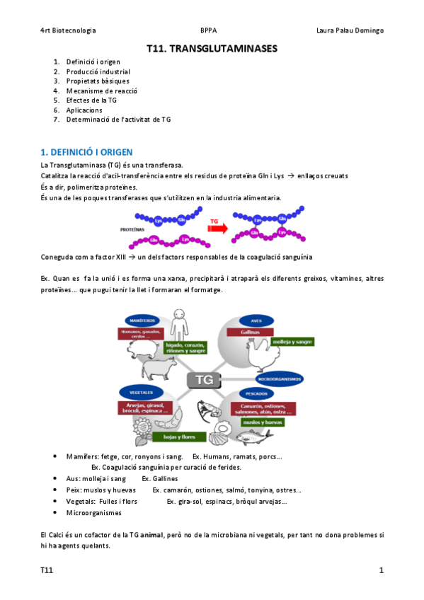 Miniatura del documento Bloc-I.-T11.pdf