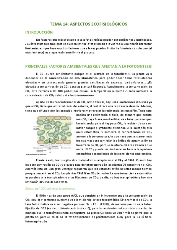 Miniatura del documento TEMA-14-ASPECTOS-ECOFISIOLOGICOS.pdf