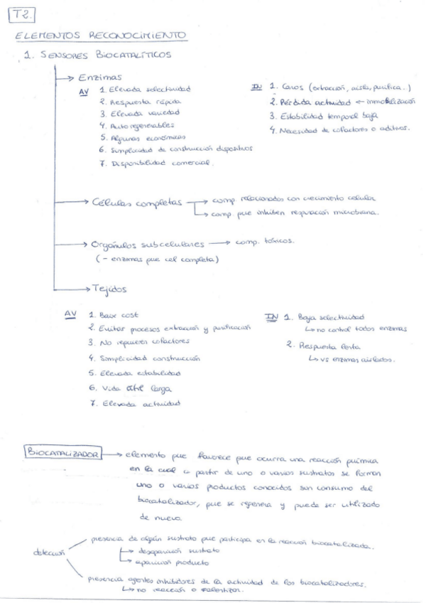 Miniatura del documento Resum-T2.-Biocatalitico.pdf