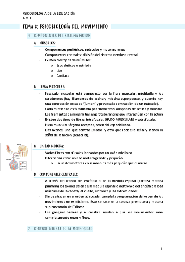 Miniatura del documento TEMA-8.pdf