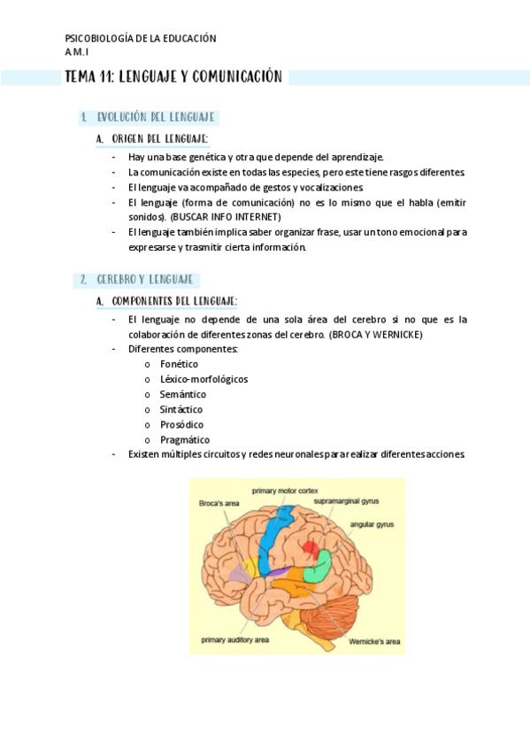 Miniatura del documento TEMA-11.pdf