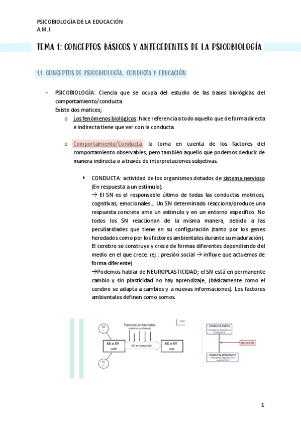 Miniatura del documento TEMA-1.pdf