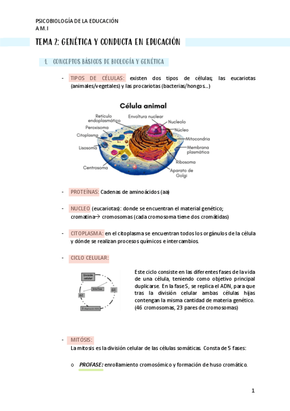 Miniatura del documento TEMA-2.pdf