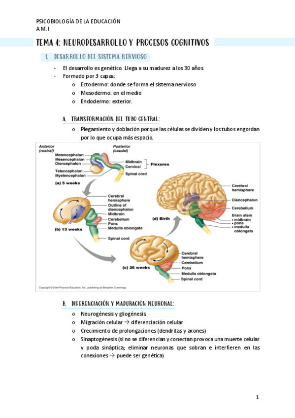 Miniatura del documento TEMA-4.pdf