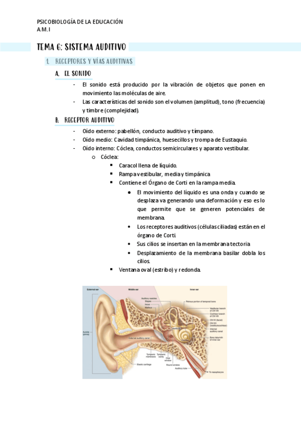 Miniatura del documento TEMA-6.pdf