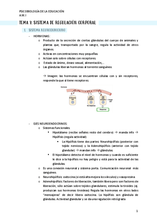 Miniatura del documento TEMA-9.pdf