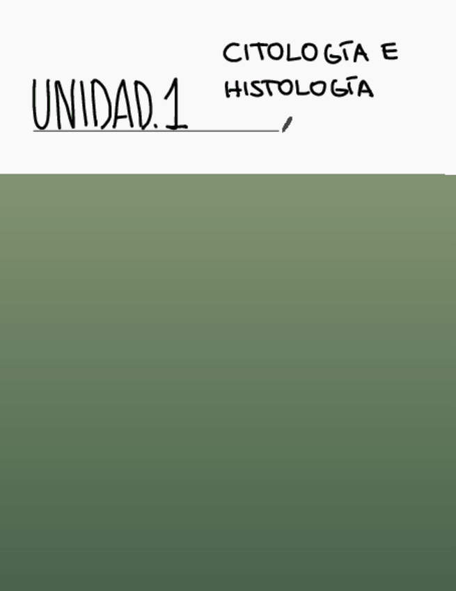 Miniatura del documento TEMA.1-CITOLOGIA-E-HISTOLOGIA.pdf