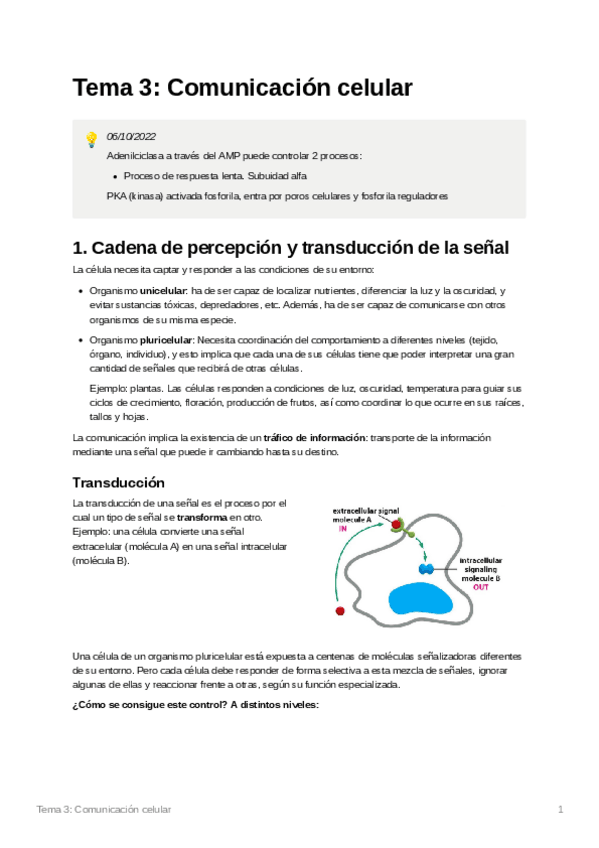 Miniatura del documento Tema3Comunicacincelular.pdf