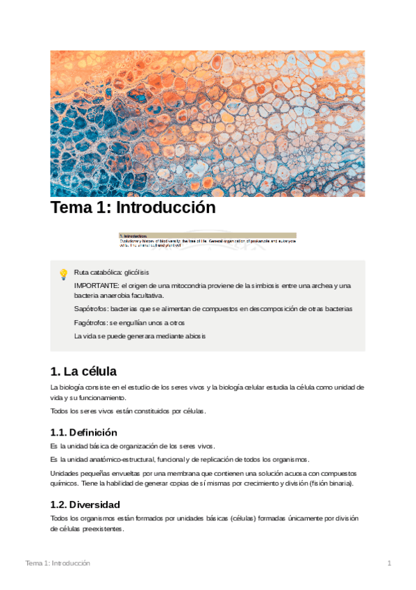 Miniatura del documento Tema1Introduccin.pdf