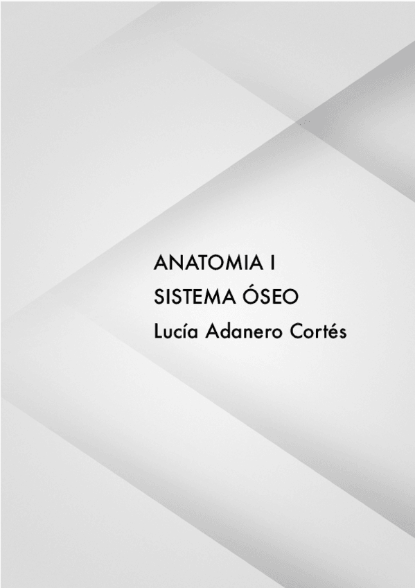 Miniatura del documento SISTEMA-OSEO.pdf