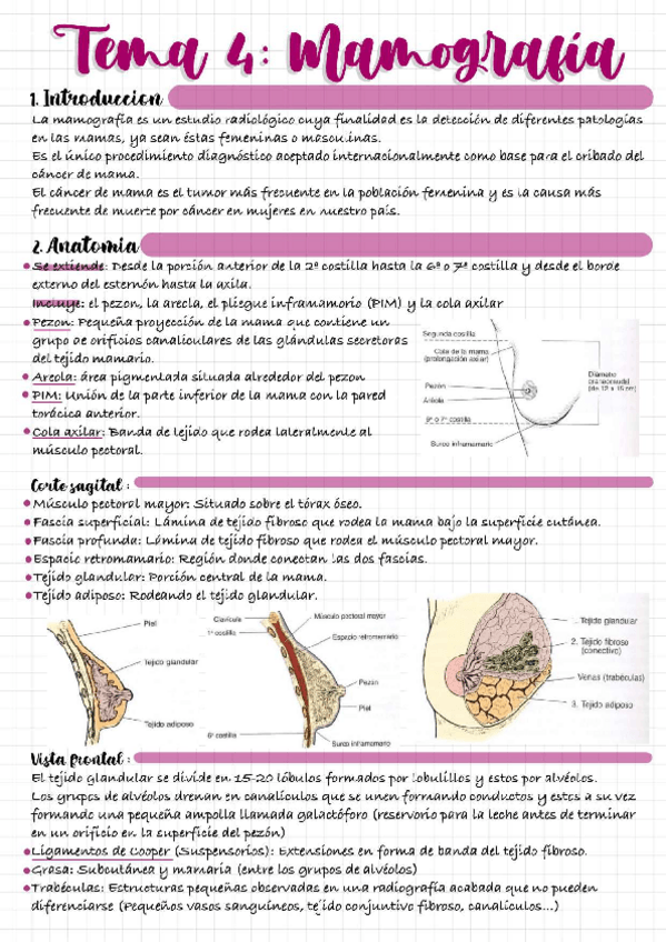 Miniatura del documento T4-mamografia.pdf