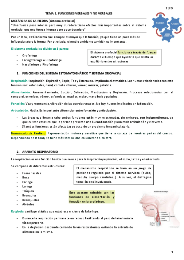 Miniatura del documento TEFO.pdf