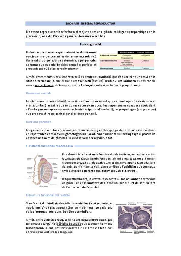 Miniatura del documento sistema reproductor.pdf