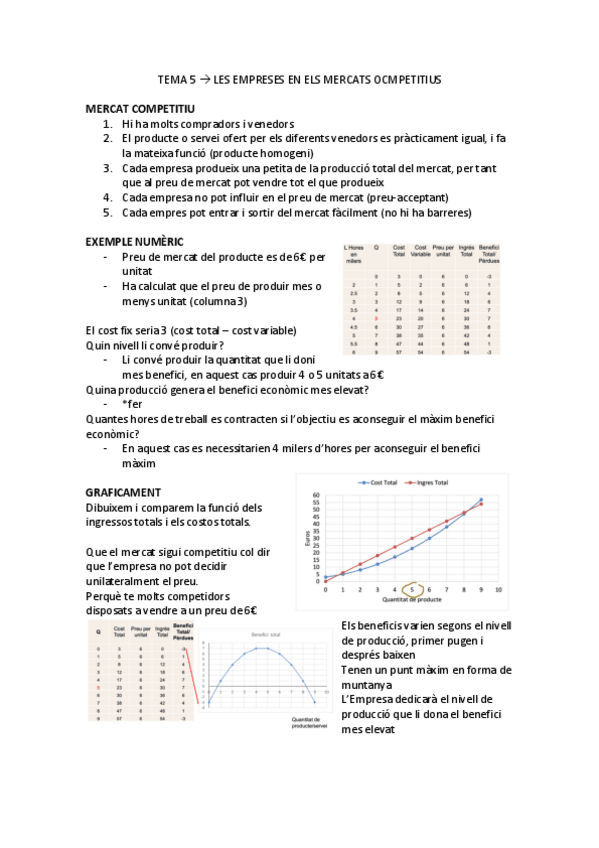 Miniatura del documento apunts-TEMA-5.pdf