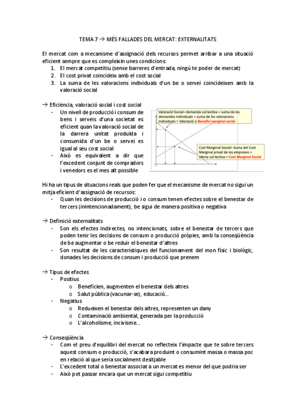 Miniatura del documento apunts-TEMA-7.pdf