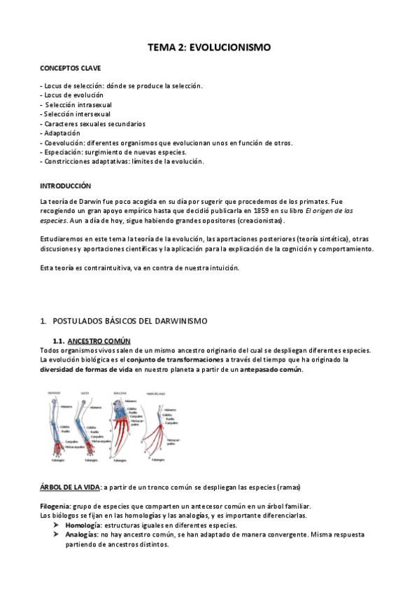 Miniatura del documento TEMA 1 Evolucionismo.pdf