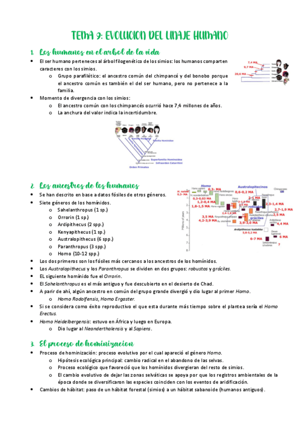 Miniatura del documento Tema-9-Evolucion-del-linaje-humano.pdf